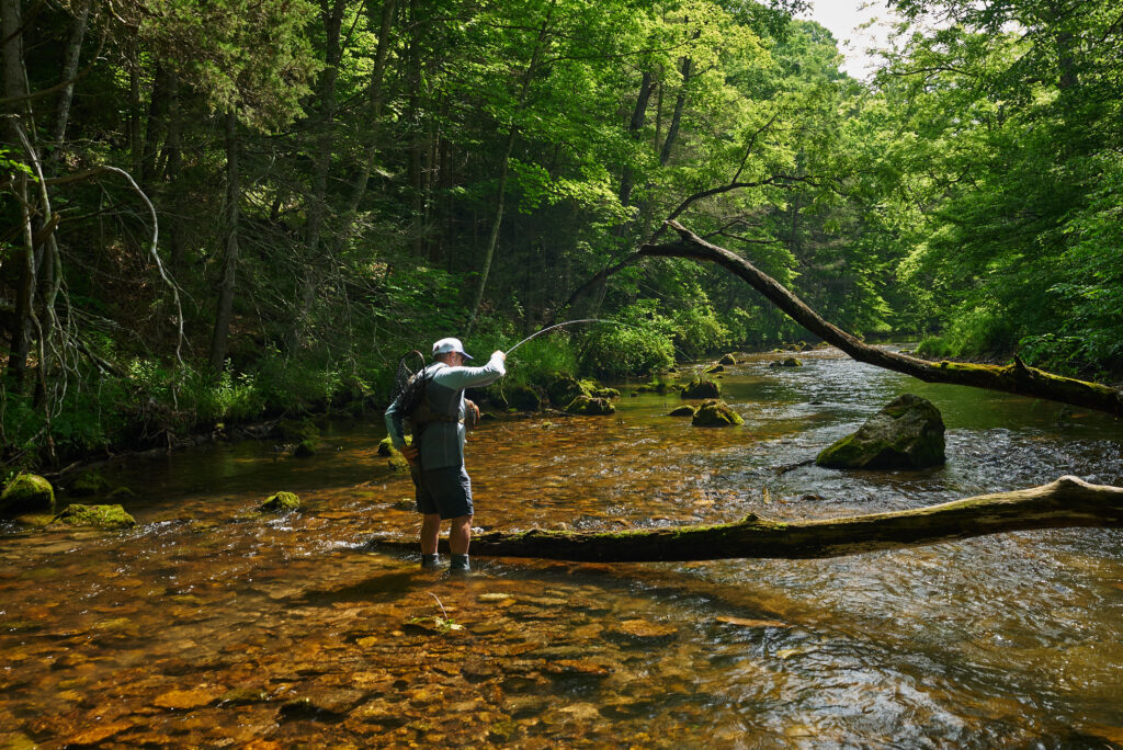Angler using a 4 wt fly rod on a small creek