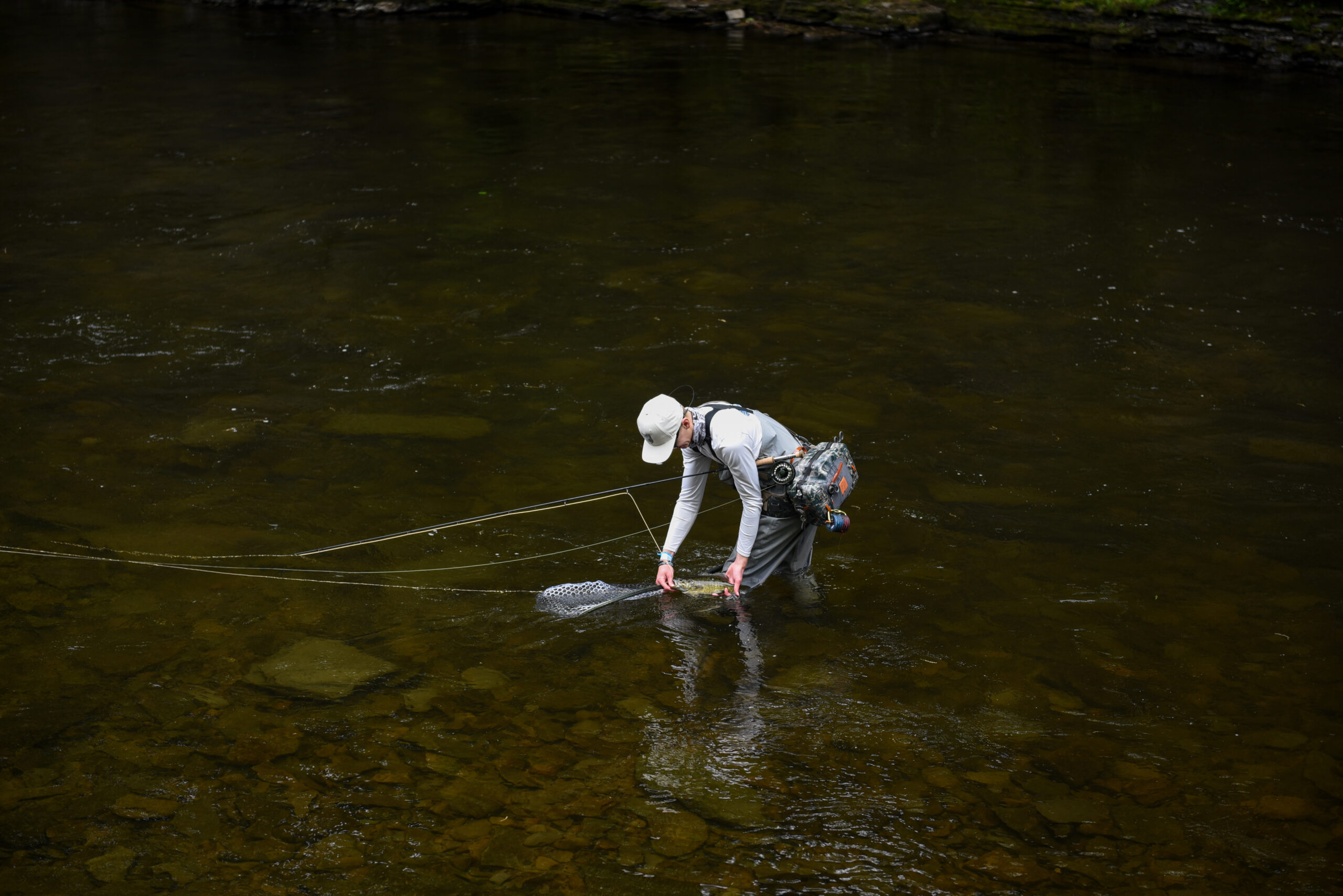 Angler admires a small mouth bass