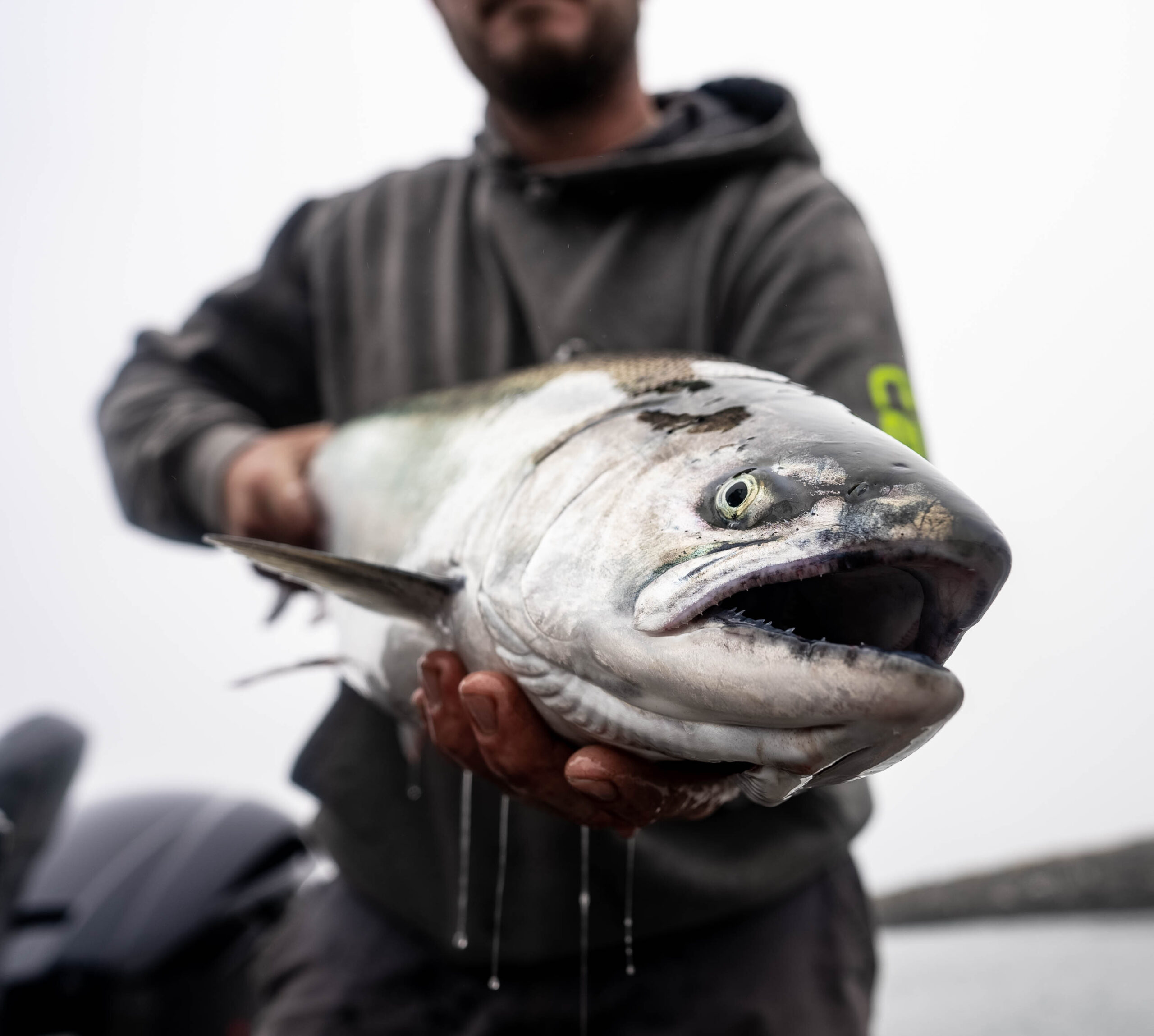 Tom's Guide to Spring Salmon Fishing - Part 2 