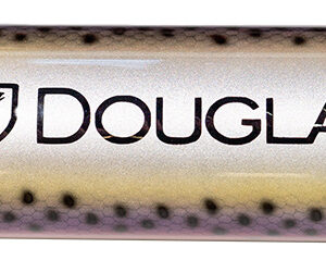 Douglas Outdoors Hand Painted Humidors - Rainbow Trout