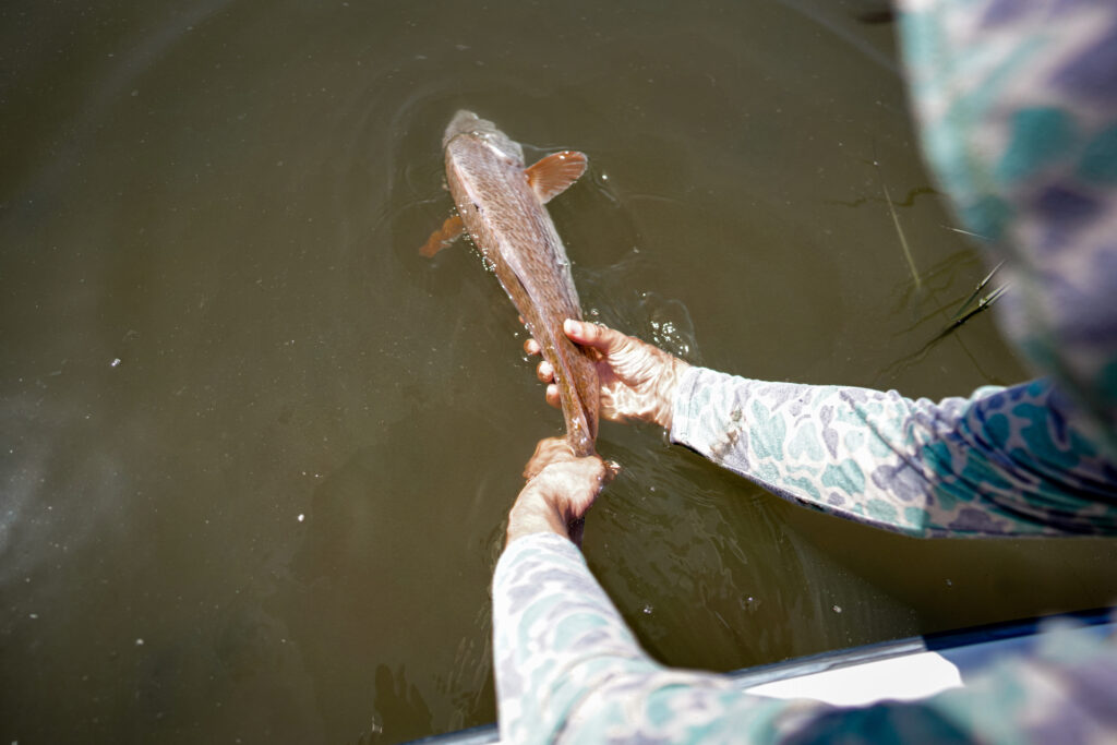 Aerial shot of an angler releasing a redfish
