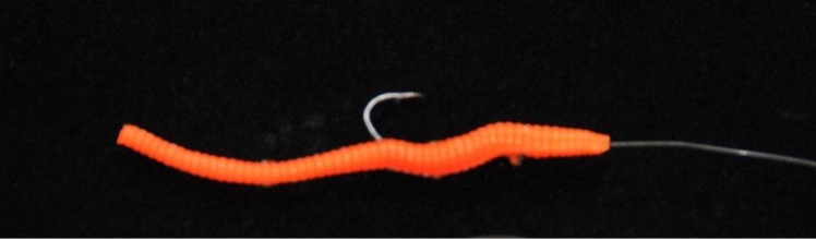 Worm lure
