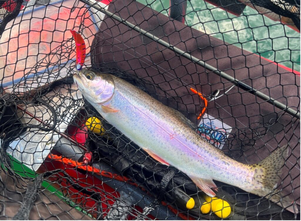 Buzz Ramsey: Central Oregon Trout - Douglas Outdoors