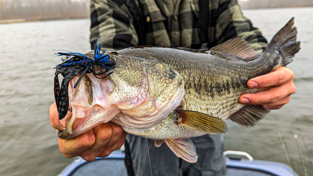 Big Fish Require Slow Hook Sets On Top - Fly Fishing