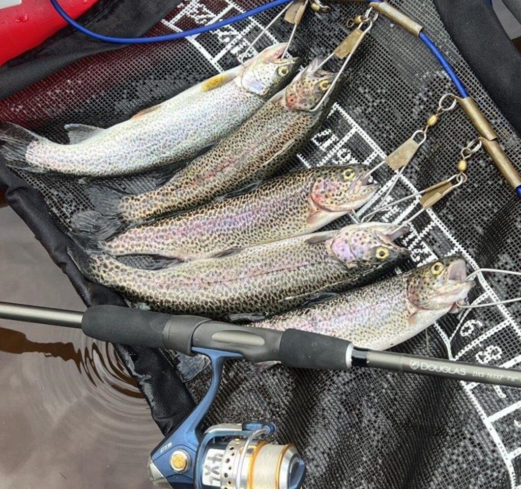 Trout on a Stringer