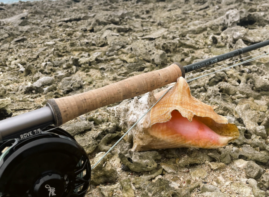 DIY flats fishing: Puerto Rico