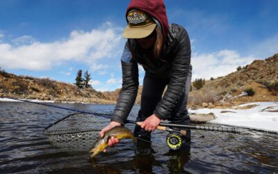  Master Winter Fly Fishing in Colorado: The Power of a Euro Nymph Fly Rod   