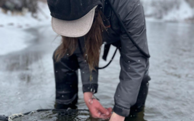 Winter Fly Fishing Tips: How to Stay Warm and Catch Fish 