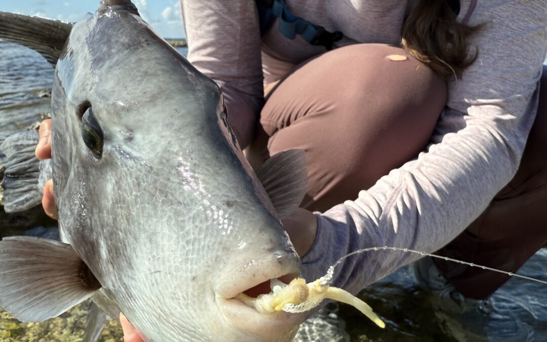 DIY Fly Fishing in Mahahual, Mexico