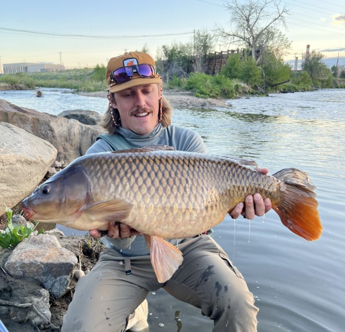 The Carp Challenge: Why More Fly Anglers Are Chasing Carp 