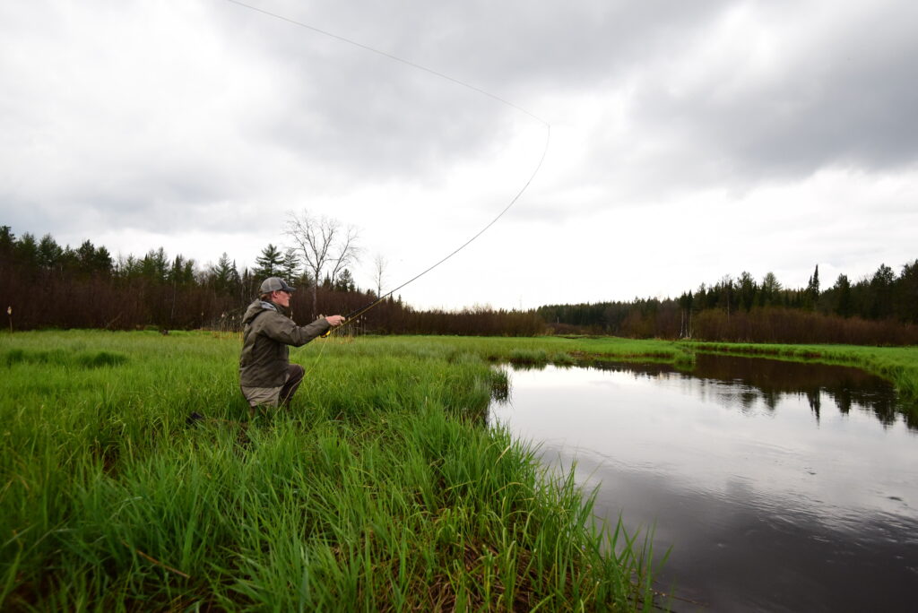 Angler casting dry flies to rising trout