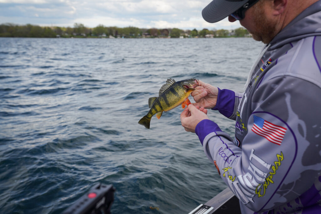 Craig Sleeman Perch Fishing