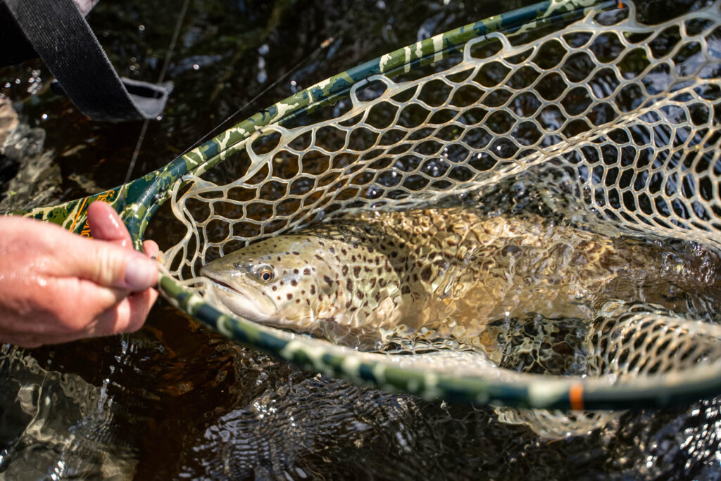 Euro Nymphing Tips for Trout