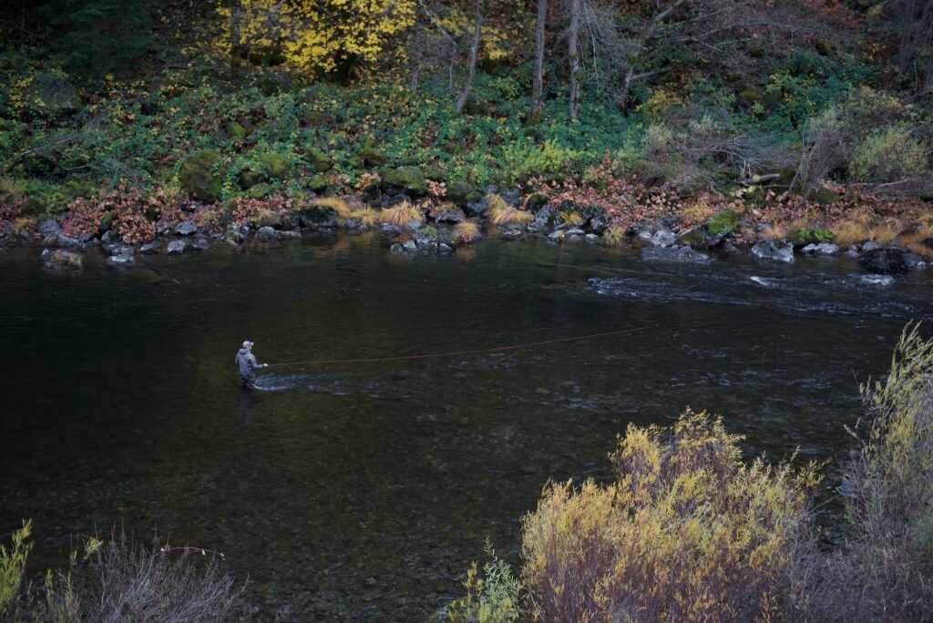 Summer Steelhead  Fly Fishing for Summer Steelhead