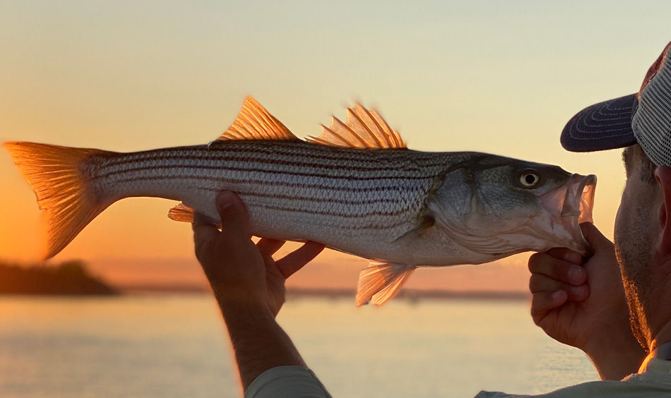 Master Big Game Fishing: 5 Essential Tips 