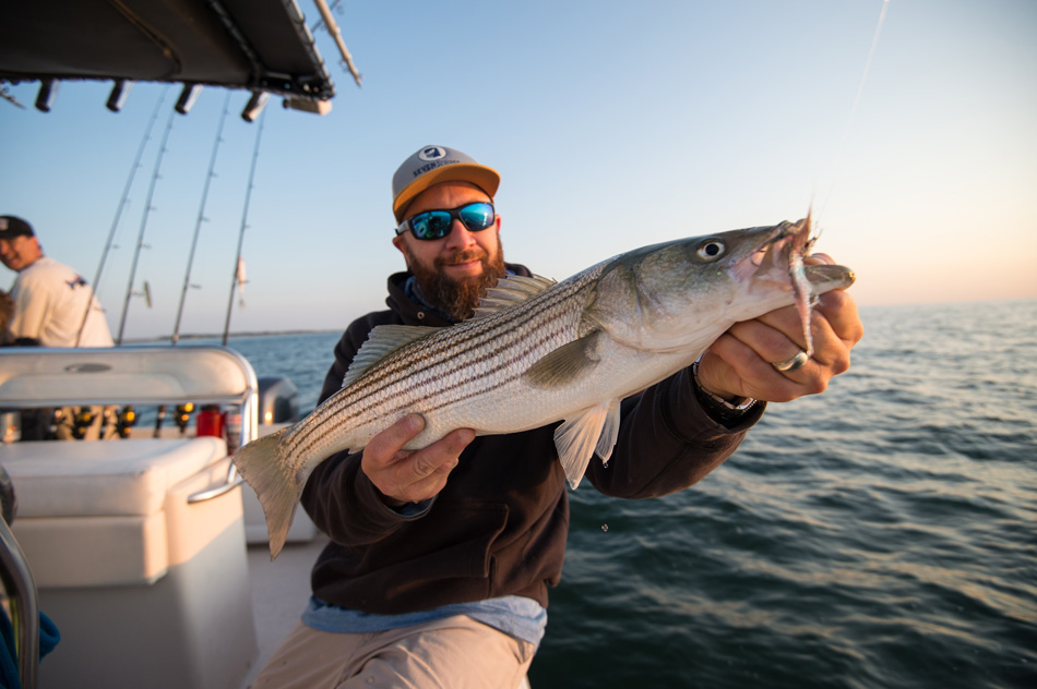 5 Fall Fishing Tips on How to Earn Your Stripers - Game & Fish