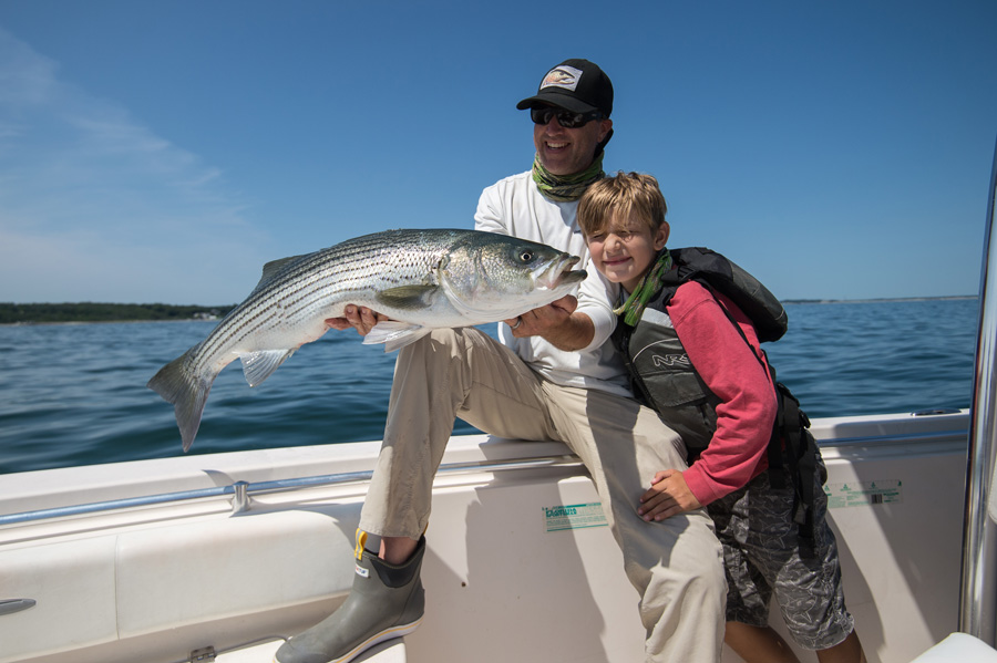 MA Fishermen are Struggling to Catch Stripers - Does That Mean We