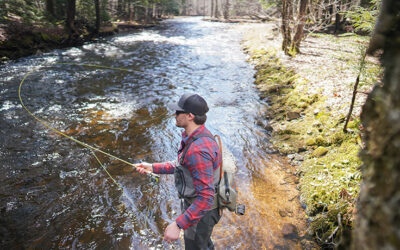 Spring Trout Blog Feature Image 400x250